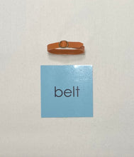 Load image into Gallery viewer, Montessori Blue Series: Objects and Cards