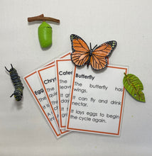 Load image into Gallery viewer, Montessori Butterfly Life Cycle Classification Set with Miniature Objects, 3-Part Cards, and Description Cards