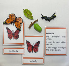 Load image into Gallery viewer, Montessori Butterfly Life Cycle Classification Set with Miniature Objects, 3-Part Cards, and Description Cards