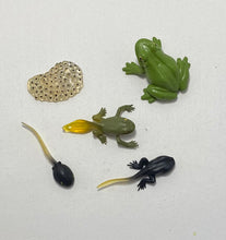 Load image into Gallery viewer, Montessori Things That Go Together Object Box