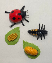 Load image into Gallery viewer, Montessori Ladybug Life Cycle Classification Set with Miniature Objects, 3-Part Cards, and Description Cards