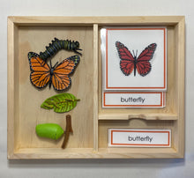 Load image into Gallery viewer, Montessori Butterfly Life Cycle Classification Set with Miniature Objects, 3-Part Cards, and Description Cards