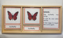 Load image into Gallery viewer, Montessori Butterfly Life Cycle Classification Set with Miniature Objects, 3-Part Cards, and Description Cards