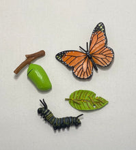Load image into Gallery viewer, Montessori Butterfly Life Cycle Classification Set with Miniature Objects, 3-Part Cards, and Description Cards