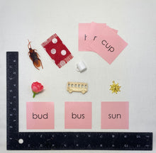 Load image into Gallery viewer, Pink Series Phonetic Objects and Cards