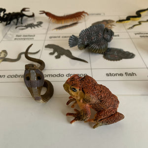 Montessori Inspired Safari Toob Venomous Animals Activity set