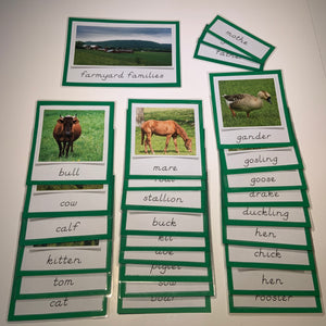 Montessori Farm Animal Families Classified Cards
