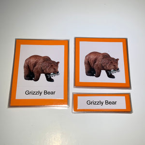 Montessori Animals of North America Three Part Classified Cards