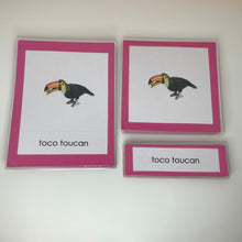 Load image into Gallery viewer, Montessori Animals of South America Three Part Classified Cards