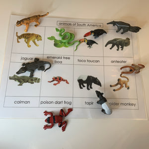 Montessori Animals of South America with TOOB Figurines