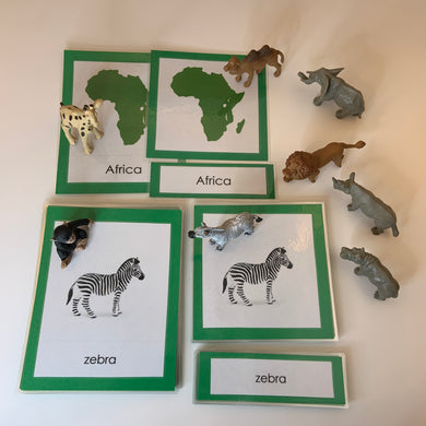 Montessori Animals of Africa with TOOB Figurines