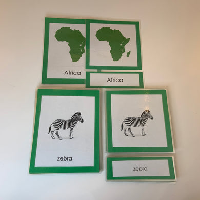 Montessori Animals of Africa Three Part Classified Cards
