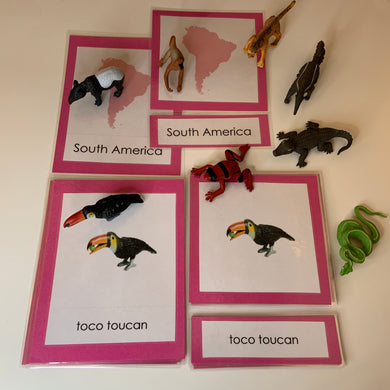 Montessori Animals of South America with TOOB Figurines