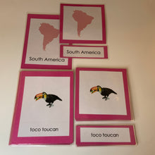 Load image into Gallery viewer, Montessori Animals of South America Three Part Classified Cards