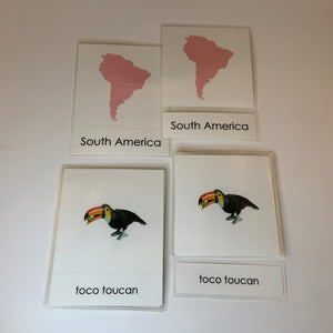 Montessori Animals of South America with TOOB Figurines