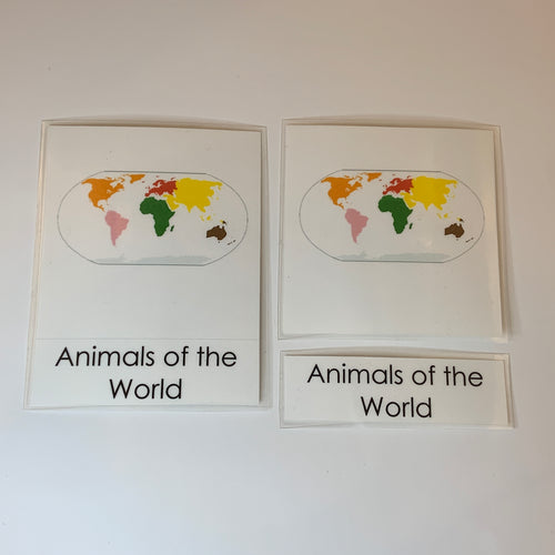 Montessori Animals of the world Three Part Classified Cards