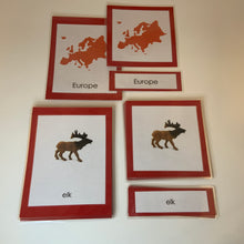 Load image into Gallery viewer, Montessori Animals of Europe Three Part Classified Cards