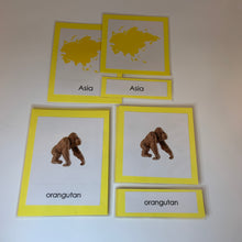 Load image into Gallery viewer, Montessori Animals of Asia Three Part Classified Cards