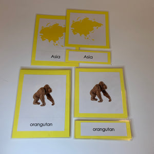 Montessori Animals of Asia with TOOB Figurines