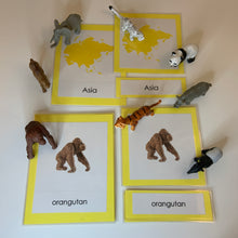 Load image into Gallery viewer, Montessori Animals of Asia with TOOB Figurines