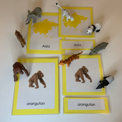 Montessori Animals of Asia with TOOB Figurines
