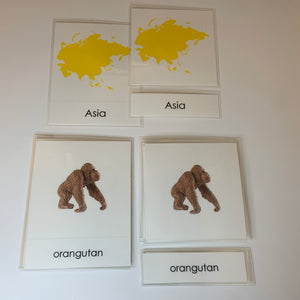 Montessori Animals of Asia Three Part Classified Cards