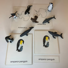 Load image into Gallery viewer, Montessori Animals of Antarctica with TOOB Figurines