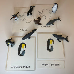Montessori Animals of Antarctica with TOOB Figurines