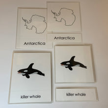 Load image into Gallery viewer, Montessori Animals of Antarctica with TOOB Figurines