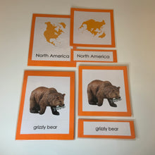 Load image into Gallery viewer, Montessori Animals of North America Three Part Classified Cards
