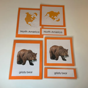 Montessori Animals of Europe with TOOB Activity