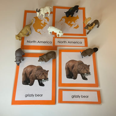 Montessori Animals of North America with TOOB Activity