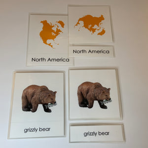 Montessori Animals of North America Three Part Classified Cards