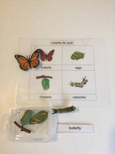 Montessori Life cycle of the Butterfly