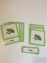 Load image into Gallery viewer, Montessori three_part_cards of Life cycle of the Frog