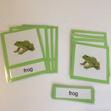 Montessori Life Cycle of a Frog Three Part Classified Cards