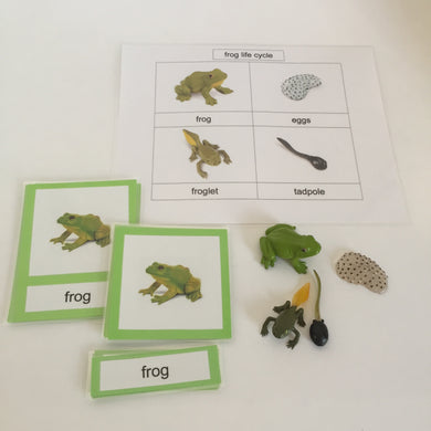 Montessori Life cycle of the Frog
