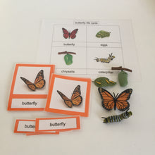 Load image into Gallery viewer, Montessori Life cycle of the Butterfly