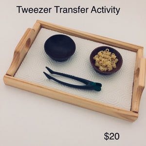 Montessori Practical Life Transfer Activities