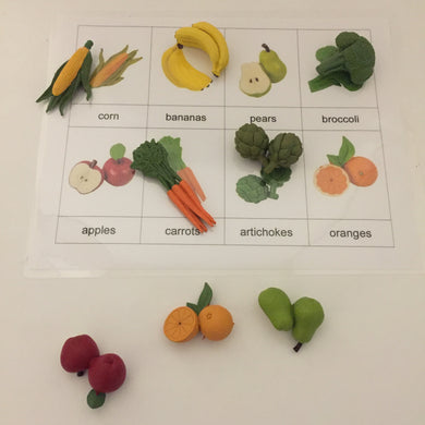 Montessori Inspired Safari Toob Fruits and Vegetables Activity set