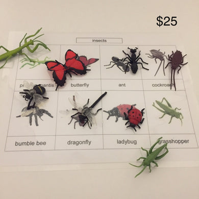 Montessori Inspired Safari Toob Insect Activity set.