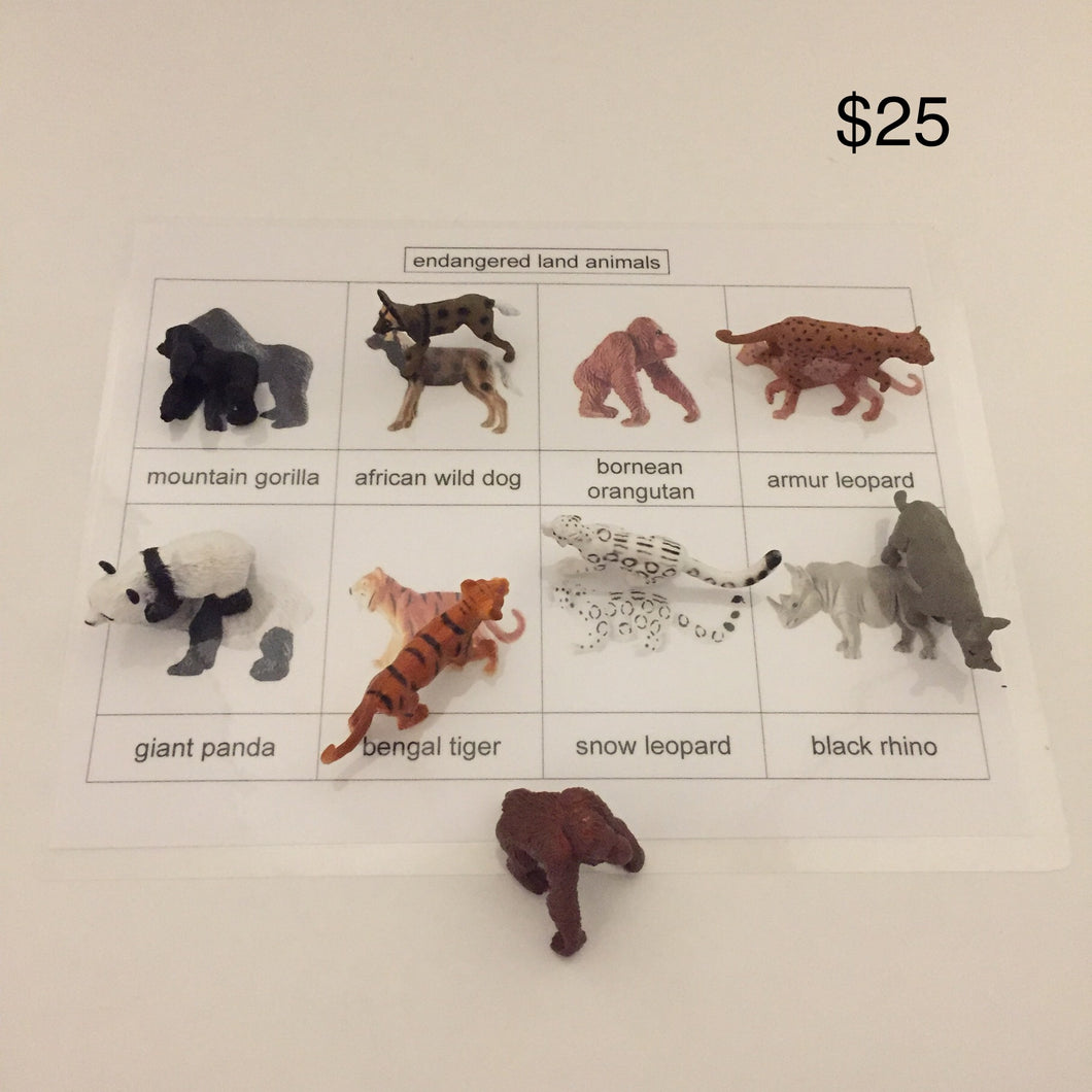 Montessori Inspired Safari Toob Endangered Land Animal Activity set