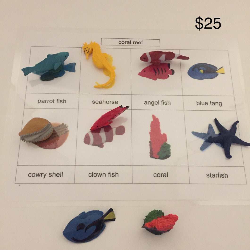 Montessori Inspired Safari Toob Coral Reef Activity set