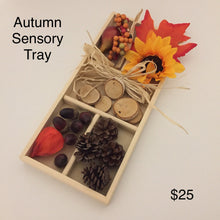 Load image into Gallery viewer, Montessori Fall Sensory Activity Tray