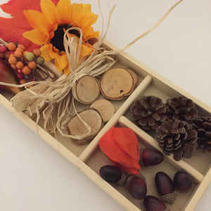 Montessori Fall Sensory Activity Tray