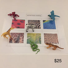 Load image into Gallery viewer, Montessori Inspired Safari Toob Animal Body Covering Activity