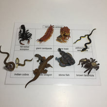 Load image into Gallery viewer, Montessori Inspired Safari Toob Venomous Animals Activity