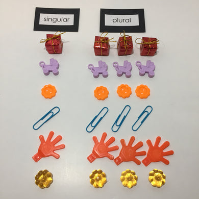 Montessori Singular and Plural Objects Box 2