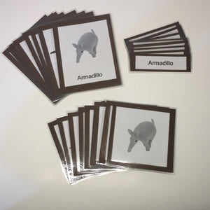 Montessori Desert Animals Three Part Classified Cards