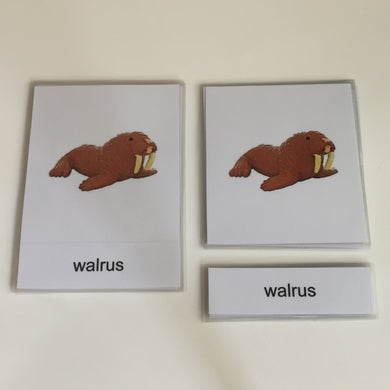 Montessori Arctic Animals Three Part Classified Cards